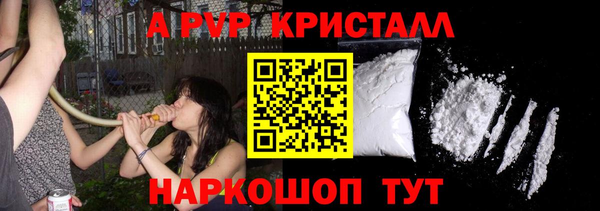 ГАШ Курчалой
