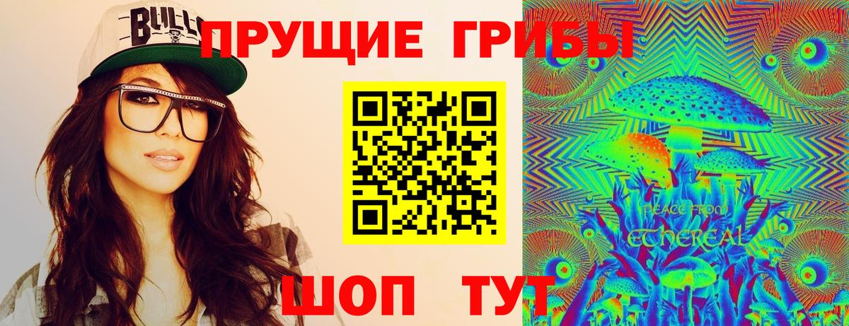 Галлюциногенные грибы Psilocybine cubensis  Вход с VPN  Псилоцибиновые грибы ЛСД  Курчалой 