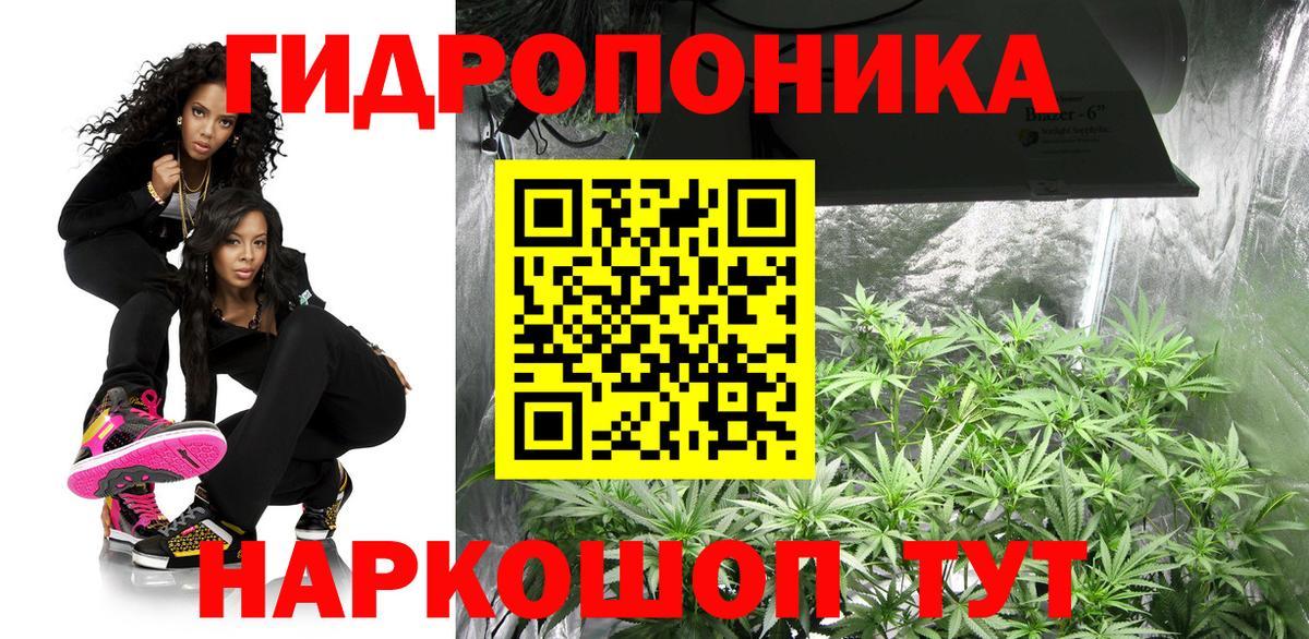 Марихуана AK-47  Бошки Шишки OG Kush  Курчалой  Вход с VPN  Каннабис MAZAR 